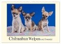 Chihuahua Welpen und Freunde (Wandkalender 2024 DIN A2 quer), CALVENDO Monatskalender - Gabriela Wejat-Zaretzke