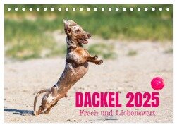 DACKEL 2025 Frech und Liebenwert (Tischkalender 2025 DIN A5 quer), CALVENDO Monatskalender - Annett Mirsberger Tierpfoto