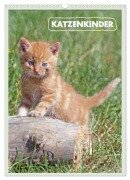 Katzenkinder (Wandkalender 2025 DIN A3 hoch), CALVENDO Monatskalender - Barbara Mielewczyk