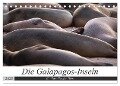 Galapagos-Inseln - Ein Paradies für Tiere (Tischkalender 2025 DIN A5 quer), CALVENDO Monatskalender - Jeanette Dobrindt