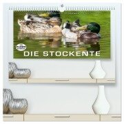 Emotionale Momente: Die Stockente. (hochwertiger Premium Wandkalender 2026 DIN A2 quer), Kunstdruck in Hochglanz - Ingo Gerlach