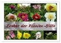 Zauber der Päonien-Blüte (Wandkalender 2024 DIN A2 quer), CALVENDO Monatskalender - Monika Reiter