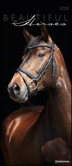 Beautiful Horses 2023 - Foto-Kalender - 30x70 - 