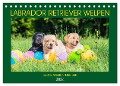 Labrador Retriever Welpen - Kleine Weltentdecker (Tischkalender 2024 DIN A5 quer), CALVENDO Monatskalender - Sigrid Starick