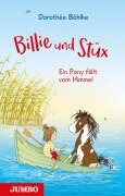 Cover-Bild zum Titel 'Billie und Stüx 01 - Ein Pony fällt vom Himmel' von 'Dorothée Böhlke'