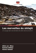 Cover-Bild zum Titel 'Les merveilles du shilajit' von 'Alim-Un Nisa, Kainat Abbas, Asma Saeed'