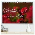 Dahlien in zauberhaftem Licht (hochwertiger Premium Wandkalender 2024 DIN A2 quer), Kunstdruck in Hochglanz - Brigitte Stehle