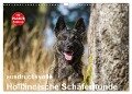 ausdrucksvolle Holländische Schäferhunde (Wandkalender 2024 DIN A3 quer), CALVENDO Monatskalender - Fotodesign Verena Scholze