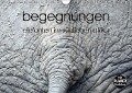 begegnungen - elefanten im südlichen afrika (Wandkalender immerwährend DIN A4 quer) - K. A. Rsiemer