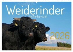 Weiderinder im Frankenwald (Wandkalender 2026 DIN A2 quer), CALVENDO Monatskalender - Cordula Kelle-Dingel