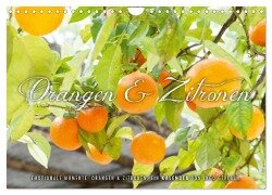 Emotionale Momente: Orangen & Zitronen. (Wandkalender 2025 DIN A4 quer), CALVENDO Monatskalender - Ingo Gerlach