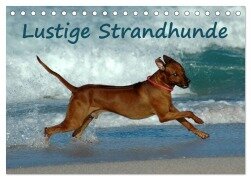 Lustige Strandhunde (Tischkalender 2025 DIN A5 quer), CALVENDO Monatskalender - Anke van Wyk - www. germanpix. net