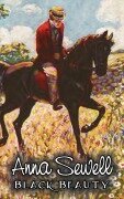 Cover-Bild zum Titel 'Black Beauty by Anna Sewell, Fiction, Animals, Horses, Girls & Women' von 'Anna Sewell'