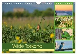 Wilde Toskana - von René Schaack (Wandkalender 2025 DIN A4 quer), CALVENDO Monatskalender - René Schaack