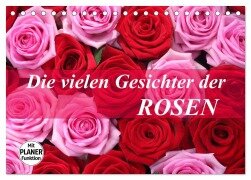 Die vielen Gesichter der Rosen (Tischkalender 2025 DIN A5 quer), CALVENDO Monatskalender - Gisela Kruse