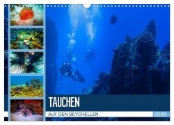 Tauchen auf den Sychellen (Wandkalender 2026 DIN A3 quer), CALVENDO Monatskalender - Dirk Meutzner