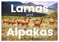 Lamas und Alpakas - Die weichen Neuweltkamele. (Wandkalender 2024 DIN A2 quer), CALVENDO Monatskalender - Sf Sf