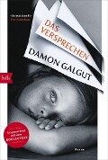 Das Versprechen - Damon Galgut