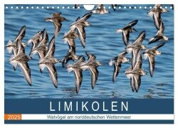 Limikolen - Watvögel am norddeutschen Wattenmeer (Wandkalender 2025 DIN A4 quer), CALVENDO Monatskalender - Arne Wünsche