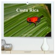 Costa Rica (hochwertiger Premium Wandkalender 2026 DIN A2 quer), Kunstdruck in Hochglanz - Ursula Di Chito