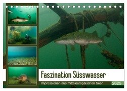 Faszination Süsswasser (Tischkalender 2025 DIN A5 quer), CALVENDO Monatskalender - Sven Gruse