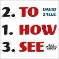 How to See: Looking, Talking, and Thinking about Art - David Salle
