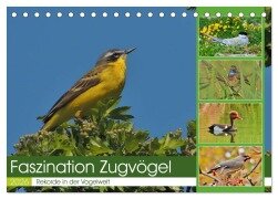 Faszination Zugvögel - Rekorde in der Vogelwelt (Tischkalender 2026 DIN A5 quer), CALVENDO Monatskalender - René Schaack