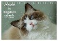 Verliebt in Ragdolls ... die sanfte Katzenrasse (Tischkalender 2024 DIN A5 quer), CALVENDO Monatskalender - Marion Reiß-Seibert