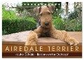 Airedale Terrier (Tischkalender 2024 DIN A5 quer), CALVENDO Monatskalender - Gaby Rottmann