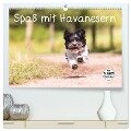 Spaß mit Havanesern (hochwertiger Premium Wandkalender 2025 DIN A2 quer), Kunstdruck in Hochglanz - Sonja Teßen