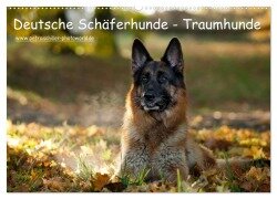 Deutsche Schäferhunde - Traumhunde (Wandkalender 2025 DIN A2 quer), CALVENDO Monatskalender - Petra Schiller