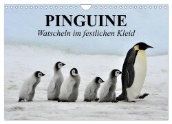 Pinguine - Watscheln im festlichen Kleid (Wandkalender 2025 DIN A4 quer), CALVENDO Monatskalender - Elisabeth Stanzer