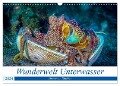Wunderwelt Unterwasser (Wandkalender 2024 DIN A3 quer), CALVENDO Monatskalender - Dieter Gödecke