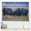 Emotionale Momente: Afrika Wildlife. Part 3. (hochwertiger Premium Wandkalender 2025 DIN A2 quer), Kunstdruck in Hochglanz - Ingo Gerlach GDT