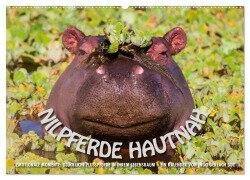 Emotionale Momente: Nilpferde hautnah (Wandkalender 2025 DIN A2 quer), CALVENDO Monatskalender - Ingo Gerlach GDT