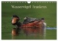 Wasservögel Frankens (Wandkalender 2024 DIN A4 quer), CALVENDO Monatskalender - Günter Bachmeier