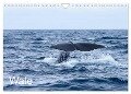 Wale (Wandkalender 2024 DIN A4 quer), CALVENDO Monatskalender - Helmut Gulbins