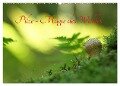 Pilze - Magie des Waldes (Wandkalender 2024 DIN A2 quer), CALVENDO Monatskalender - Lutz Klapp