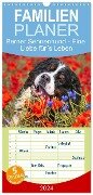 Familienplaner 2024 - Berner Sennenhund - Eine Liebe für¿s Leben mit 5 Spalten (Wandkalender, 21 x 45 cm) CALVENDO - Sigrid Starick