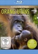 Cover-Bild zum Titel 'Orang-Utans - Die unbekannten Menschenaffen + Plus Special: 60 Jahre Expeditionen ins Tierreich' von 'Thoralf Grospitz, Jens Westphalen, Oliver Heuss'