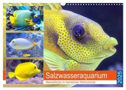 Salzwasseraquarium. Meeresfische im heimischen Wohnzimmer (Wandkalender 2025 DIN A3 quer), CALVENDO Monatskalender - Rose Hurley