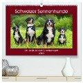 Schweizer Sennenhunde - die Hunde aus den Schweizer Alpen (hochwertiger Premium Wandkalender 2025 DIN A2 quer), Kunstdruck in Hochglanz - Sigrid Starick