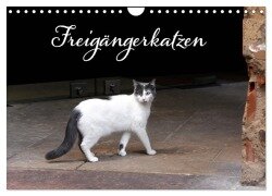 Freigängerkatzen (Wandkalender 2025 DIN A4 quer), CALVENDO Monatskalender - Kristina Rütten