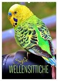 Süße Wellensittiche (Wandkalender 2025 DIN A2 hoch), CALVENDO Monatskalender - Renate Utz