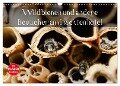 Wildbienen und andere Besucher am Insektenhotel (Wandkalender 2024 DIN A3 quer), CALVENDO Monatskalender - Anja Frost