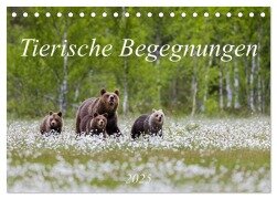 Tierische Begegnungen (Tischkalender 2025 DIN A5 quer), CALVENDO Monatskalender - Daniela Beyer (Moqui)