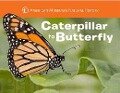 Caterpillar to Butterfly - American Museum Of Natural History, Melissa Stewart