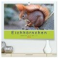 Eichhörnchen - Kleine Kobolde im Roten Pelz (hochwertiger Premium Wandkalender 2024 DIN A2 quer), Kunstdruck in Hochglanz - Margret Brackhan