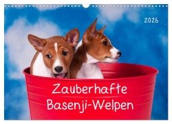 Cover-Bild zum Titel 'Zauberhafte Basenji-Welpen (Wandkalender 2026 DIN A3 quer), CALVENDO Monatskalender' von 'Angelika Joswig'