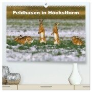 Feldhasen in Höchstform (hochwertiger Premium Wandkalender 2026 DIN A2 quer), Kunstdruck in Hochglanz - Günter Bachmeier
